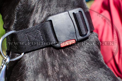 Nylon Dog Collar with Quick Release