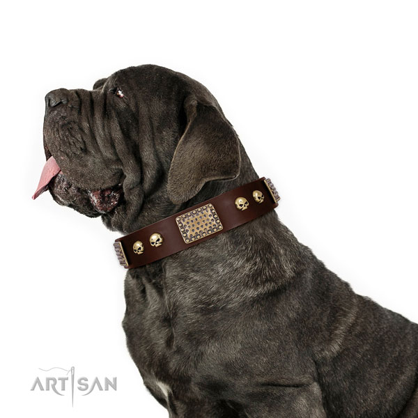 Strong Leather Dog Collar for Big Dogs