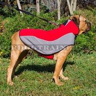 Warm Cane Corso Dog Jacket for Walking in Wet, Cold and Frost