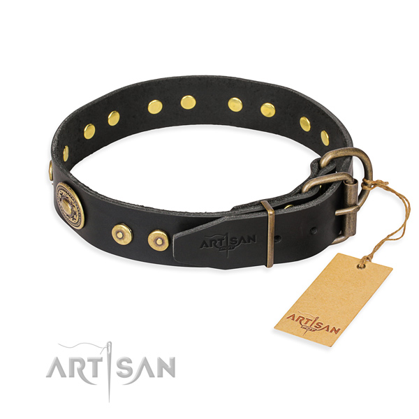 Black Leather Dog Collar with Brass Buckle