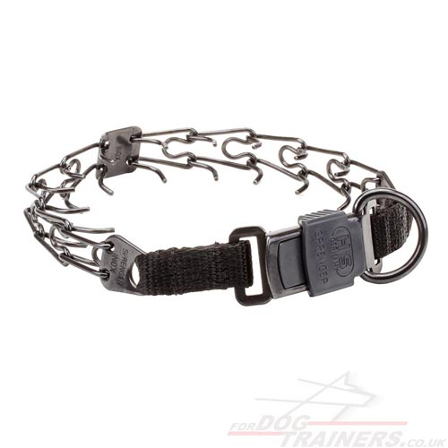 Sprenger Dog Collar with Buckle