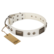 New FDT Artisan Collar for Dogs "Terrific Beauty" New FDT Artisan Collar for Dogs "Terrific Beauty"