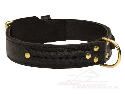 Black Braided Leather Dog Collar for German Shepherd