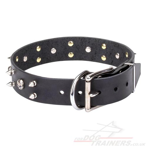 Designer Leather Dog Collar