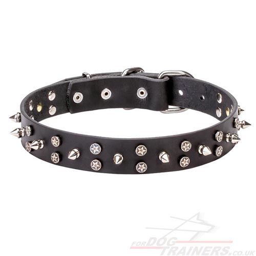 Dog Fashion Collar