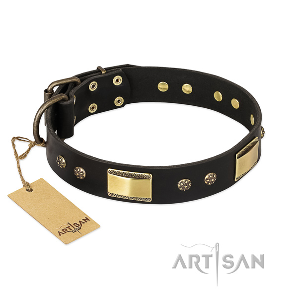 Handmade Dog Collar Leather