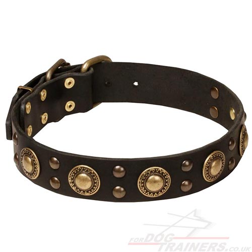 Black Leather Dog Collars