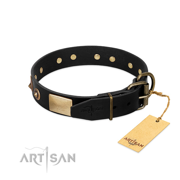 Leather Dog Collar with Brass Hardware