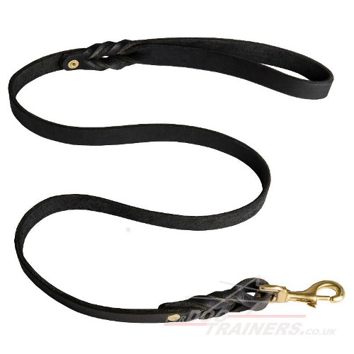Black Leather Dog Leash Braided Ends