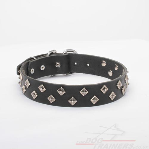 Fancy Dog Collar