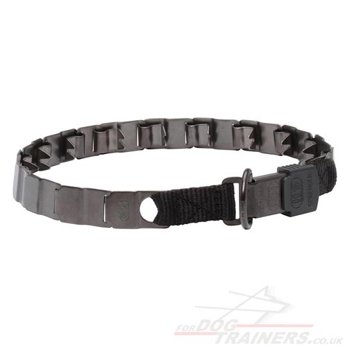 Big dog training collar