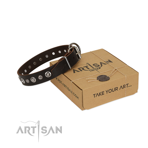 Chocolate Brown Leather Dog Collar