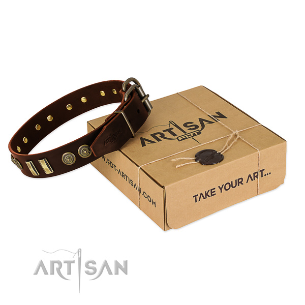 Buy Designer Dog Collars UK