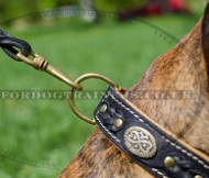 Handmade Leather Dog Collar for Boxer | Luxury Dog Collars UK