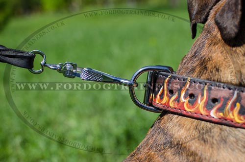 Handmade Dog Collar UK