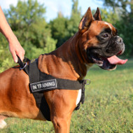 Boxer Harness Nylon UK | Non Pull Dog Harness for Boxer