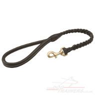 Braided Dog Lead with Padded Handle