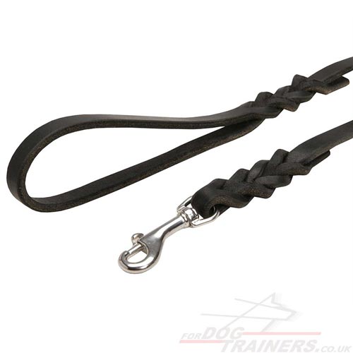 Leather Leash for Dogs