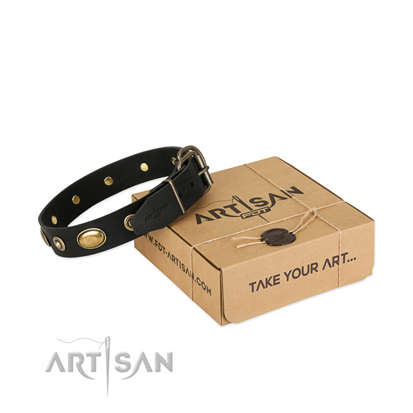 Smart Dog Collar for Big Dogs