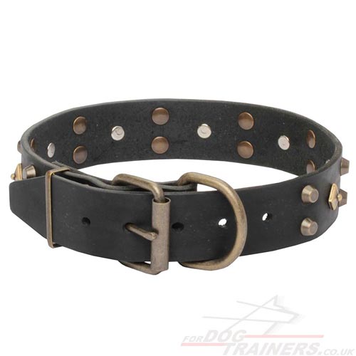 Handmade Dog Collar with Buckle