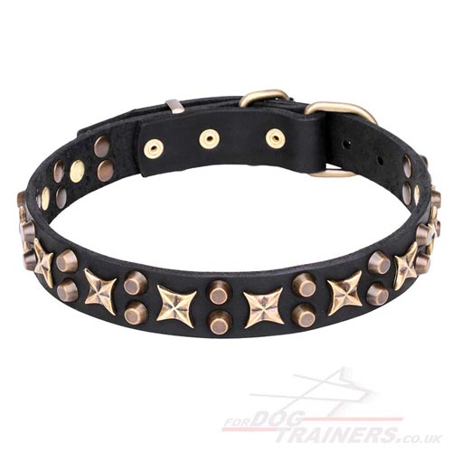 buy dog collar with studs