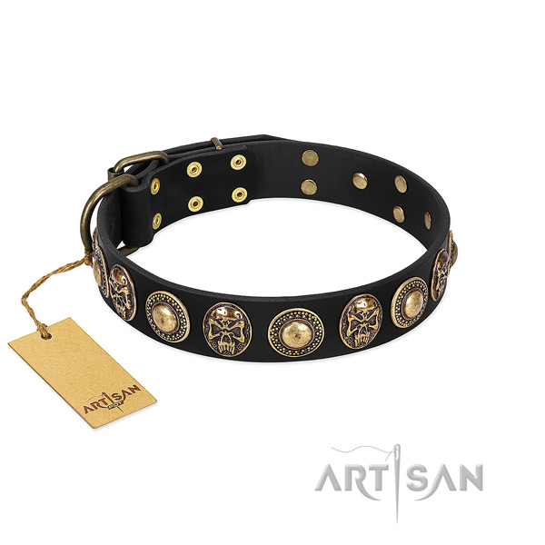 Artisan brass studded dog collar