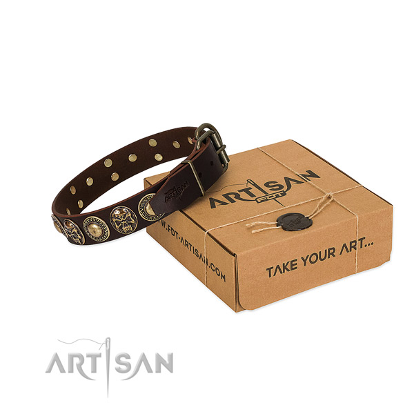 dog collar gift ideas