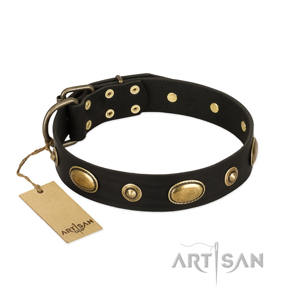 Vintage Dog Collar with Brass Studs