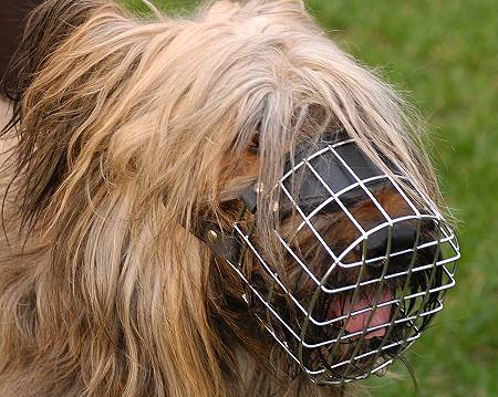 Wire dog muzzle for Briard