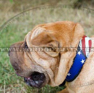 Bright Dog Collars Stars & Stripes for Chinese Shar Pei Dogs