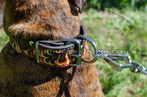 Handmade Dog Collar for Boxer Dog Training