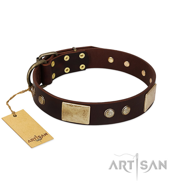 Brown and Gold Dog Collar for Big Dogs