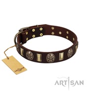 Chic Brown and Gold Dog Collar "Skull's Adventure" FDT Artisan