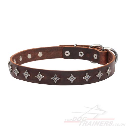 Cool Dog Collar Designs