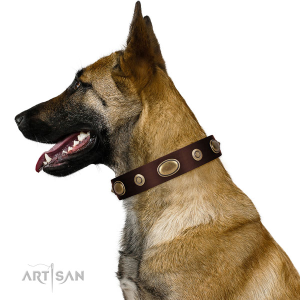 Antique Brown Dog Collar for Shepherd Breeds