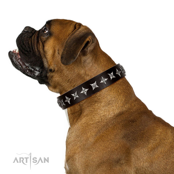 Brown Dog Leather Collar for Boxer Dogs