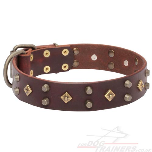 Handmade Dog Collar Designs