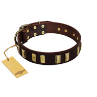 "Peace and Harmony" FDT Artisan Brown Leather Collar for Big Dogs with Brass Plates