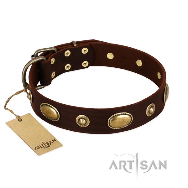 Brown Leather Collar for Dogs