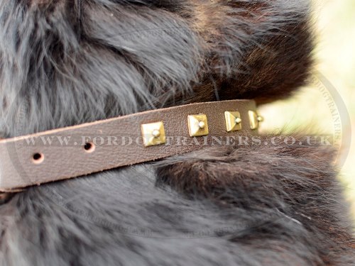 Good German Shepherd Collar