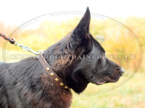 Brown Leather Dog Collar for German Shepherd
