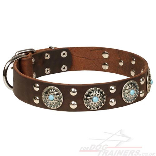 Brown Leather Dog Collar