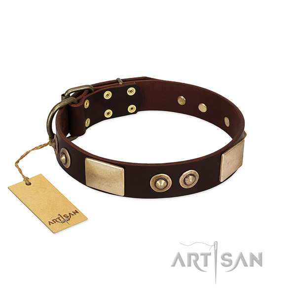 Brown Leather Dog Collar with Brass