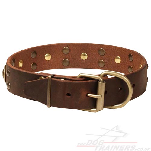 Luxury Leather Dog Collars