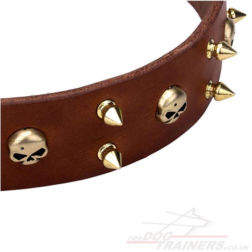 Natural Leather Wide Dog Collar