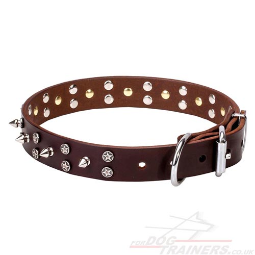 Fancy Dog Collar