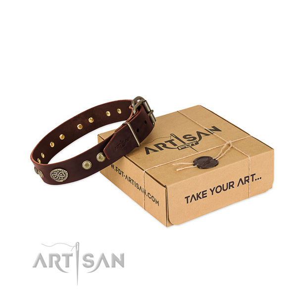 Fashion Dog Collar Designs