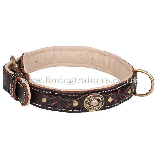 Brown Leather Dog Collar