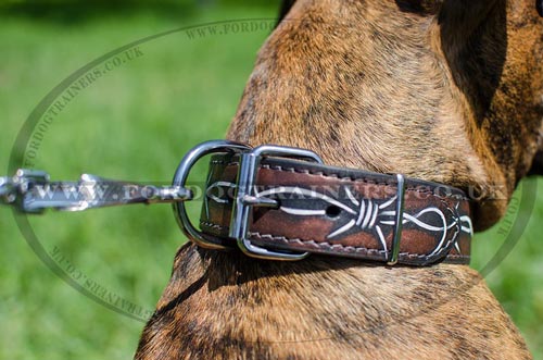 Boxer Dog Training Collar