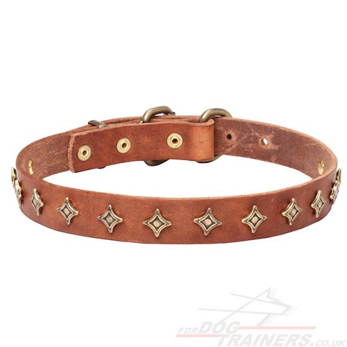 Natural Leather Dog Collar Design